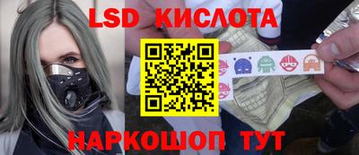стаф Дубна