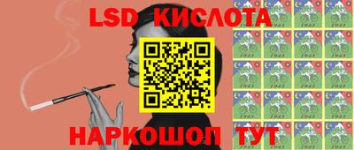 стаф Дубна