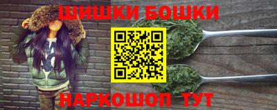 стаф Дубна