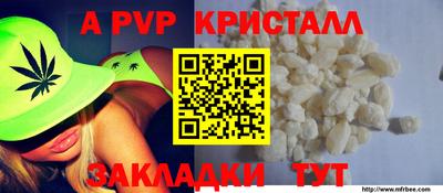 стаф Дубна