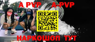 стаф Дубна