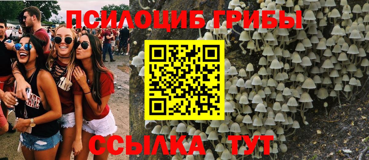 Псилоцибиновые грибы Cubensis  Галлюциногенные грибы MAGIC MUSHROOMS  Вход с VPN  Бутурлиновка 
